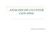 Analisis Cluster Spss