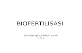 Biofertilisasi N Simbiosis 1