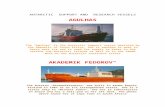 Antarctic Research & Support Vessels 25883