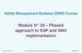 ICAO SMS M 10 – Approach (R013) 09 (E)