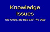 ToK Knowledge Issues. Ppt