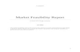 web development company feasibility report