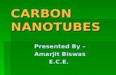Carbon Nanotube PPT