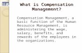 Compensation Management - I