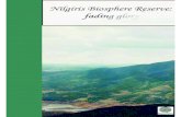 Nilgiris Biosphere Reserve: fading Glory
