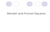 Mendel and Punnet Squares