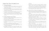 Beach Woodball Rules (English)