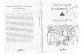 Norbert Elias-Sociologia, El Planteamiento de Comte