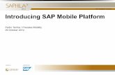 SAP Mobile Introduction