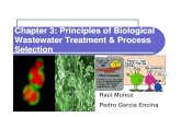 Chapter 3-Principles of Biological Wastewater Treatment _ Process SelectionR