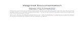 Valgrind Documentation