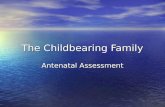 Childbearing Antenal Assessment