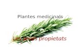 Plantes medicinals