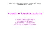 Fossili e fossilizzazione Fossili guida, di facies associazioni fossili evoluzione – datazione processi di fossilizzazione Opportuno usare schermo pieno.