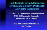 La Chirurgia della Mammella: Evoluzione e Nuovi Protocolli La Nostra Esperienza U.L.S.S. 7 – Ospedale di Vittorio Veneto U.O. di Chirurgia Generale Direttore: