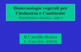 Biotecnologie vegetali per lindustria e lambiente Biochimica classica - atto I Il Cavallo Rosso E. Corti (Ed. ARES)
