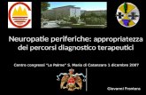 Neuropatie periferiche: appropriatezza dei percorsi diagnostico terapeutici Centro congressi Le Palme S. Maria di Catanzaro 1 dicembre 2007 Giovanni Frontera.