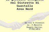 La gestione Integrata nel Distretto di Guastalla Area Nord Dr.ssa G.Chierici Dr. P.Manotti Reggio Emilia, 17/02/2012.