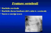 Fratture vertebrali Rachide cervicale Rachide dorso-lombare (80% delle fr. vertebrali) Sacro e coccige (rare)