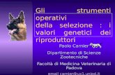 Gli strumenti operativi della selezione : i valori genetici dei riproduttori Paolo Carnier Dipartimento di Scienze Zootecniche Facoltà di Medicina Veterinaria.