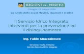 Il Servizio Idrico Integrato: interventi per la prevenzione ed il disinquinamento Ing. Fabio Strazzabosco Direzione Tutela Ambiente Servizio Sistema Idrico.