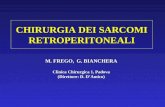 CHIRURGIA DEI SARCOMI RETROPERITONEALI M. FREGO, G. BIANCHERA Clinica Chirurgica 1, Padova (Direttore: D. DAmico)