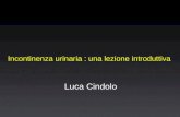 Incontinenza urinaria : una lezione introduttiva Luca Cindolo.