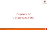 Economia delle Amministrazioni Pubbliche Riccardo Mussari Copyright © 2011 – The McGraw-Hill Companies srl Capitolo IV Lorganizzazione.