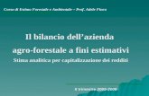 Corso di Estimo Forestale e Ambientale – Prof. Adele Finco II trimestre 2005-2006 Il bilancio dellazienda agro-forestale a fini estimativi Stima analitica.