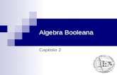 Algebra Booleana Capitolo 2. Introduzione Nata per studiare problemi di logica deduttiva Prevede la presenza di 2 soli elementi : 0 e 1 Variabile logica: