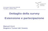 Convegno Nazionale GISCoR Perugia, 7 ottobre 2011 Dettaglio della survey Estensione e partecipazione Manuel Zorzi Registro Tumori del Veneto.