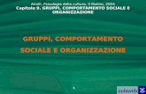1 GRUPPI, COMPORTAMENTO SOCIALE E ORGANIZZAZIONE Anolli, Psicologia della cultura, Il Mulino, 2004 Capitolo 9. GRUPPI, COMPORTAMENTO SOCIALE E ORGANIZZAZIONE.
