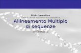 Bioinformatica Corso di Laurea Specialistica in Informatica Allineamento Multiplo di sequenze 01-04/04/2011.