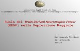 Ruolo del Brain Derived Neurotrophic Factor (BDNF) nella Depressione Maggiore Università degli Studi di Pisa Dipartimento di Psichiatria, Neurobiologia,