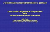 Lincontinenza urinaria:trattamento e gestione Linee Guida Diagnostico-Terapeutiche della Incontinenza Urinaria Femminile Aldo Tosto S.O.D. Urologia I dellUniversità