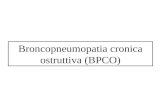 Broncopneumopatia cronica ostruttiva (BPCO). BPCO : Definizione La broncopneumopatia cronica ostruttiva (BPCO) è una condizione clinica caratterizzata.