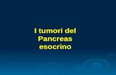 I tumori del Pancreas esocrino. Embriologia Abbozzo ventrale Abbozzo dorsale Testa + processo uncinato Corpo-coda I due dotti prima distinti si fondono.