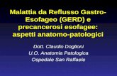 Malattia da Reflusso Gastro- Esofageo (GERD) e precancerosi esofagee: aspetti anatomo-patologici Dott. Claudio Doglioni U.O. Anatomia Patologica Ospedale.