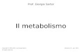 Il metabolismo Prof. Giorgio Sartor Copyright © 2001-2011 by Giorgio Sartor. All rights reserved. Versione 1.5 – apr. 2011.