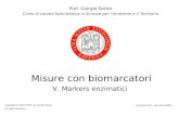 Misure con biomarcatori V. Markers enzimatici Prof. Giorgio Sartor Corso di Laurea Specialistica in Scienze per lAmbiente e il Territorio Copyright © 2001-2006.