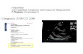 Congresso ANMCO 2008. Pericardio Sacco fibroso che avvolge il cuore Formato da duplice parete: esterna (pericardio parietale o fibroso) interna (pericardio.
