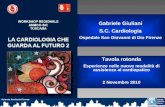 Gabriele Giuliani S.C. Cardiologia Ospedale San Giovanni di Dio Firenze Tavola rotonda Esperienze nelle nuove modalità di assistenza al cardiopatico 2.
