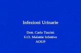 Infezioni Urinarie Dott. Carlo Tascini U.O. Malattie Infettive AOUP.
