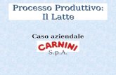 Processo Produttivo: Il Latte Caso aziendale S.p.A.