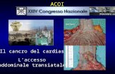 Il cancro del cardias Laccesso addominale transiatale ACOI.