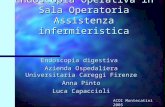 Endoscopia Operativa in Sala Operatoria Assistenza infermieristica Endoscopia digestiva Azienda Ospedaliera Universitaria Careggi Firenze Anna Pinto Luca.