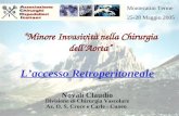 Minore Invasività nella Chirurgia dellAorta Laccesso Retroperitoneale Novali Claudio Divisione di Chirurgia Vascolare Az. O. S. Croce e Carle - Cuneo Montecatini.