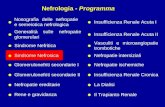 Nefrologia - Programma Nosografia delle nefropatie e semeiotica nefrologica Insufficienza Renale Acuta I Generalità sulle nefropatie glomerulari Insufficienza
