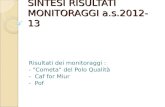 SINTESI RISULTATI MONITORAGGI a.s.2012-13 Risultati dei monitoraggi : - "Cometa" del Polo Qualità - Caf for Miur - Pof.