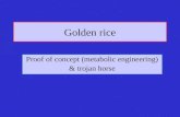 Golden rice Proof of concept (metabolic engineering) & trojan horse.